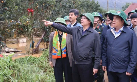 Phó Thủ tướng Hồ Quốc Dũng yêu cầu bố trí ngay khu tái định cư cho người dân tại Lâm Đồng