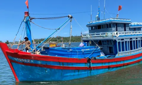 Sửa đổi một số quy định về xử phạt vi phạm hành chính trong lĩnh vực thủy sản