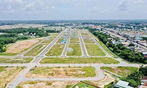 Hải Phòng giao hơn 9 ha đất cho doanh nghiệp làm dự án khu dân cư