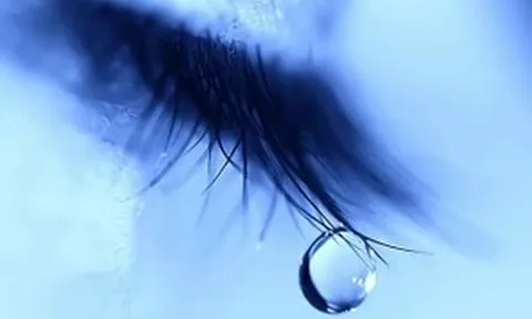 Cảm thụ văn học: Những sự thể lạ phát sáng