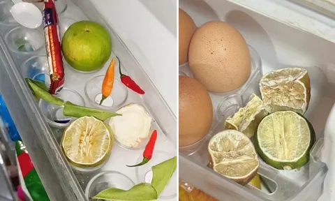 Trung bình cửa tủ lạnh của các gia đình Việt Nam đều có 1 thứ: Hóa ra có tác dụng bất ngờ