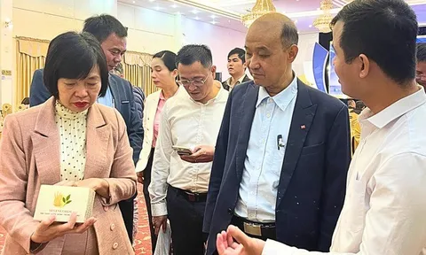 Startup Đà Nẵng đông, nhưng mạnh thì chưa nhiều