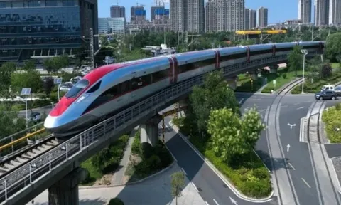 Chọn nhà đầu tư đường sắt tốc độ cao: Công khai, không dấm dúi