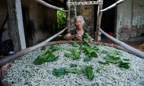 Gìn giữ tinh hoa tơ tằm Cổ Chất