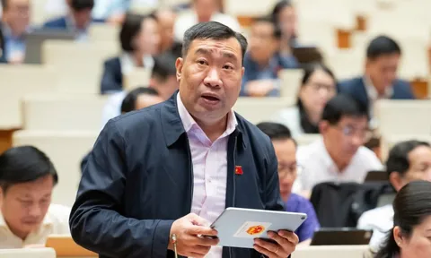 Xem xét phân bổ vốn cho đào tạo bồi dưỡng giáo viên và cán bộ quản lý