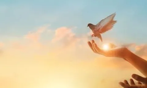 Cà phê ngày mới: Thoát bẫy ổn định và thành công