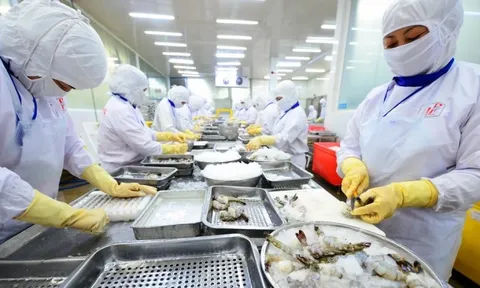 Xuất khẩu thủy sản dự báo cao nhất từ trước đến nay