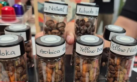 Giá cà phê hôm nay 15-12: Rớt liên tục, ông trùm cà phê nói gì?