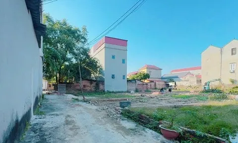 Từ 1/1/2026, người dân có 3 mảnh đất nông nghiệp muốn chuyển lên thổ cư có được giảm 70% thuế cho cả 3 hay không?