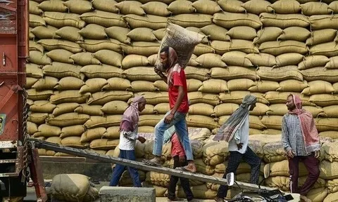 Việt Nam, Thái Lan chú ý: Quốc gia sản xuất gạo lớn thứ 3 thế giới tuyên bố quay lại nhập khẩu từ Ấn Độ, giá rẻ chưa từng thấy