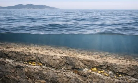 Phát hiện mỏ vàng dưới đáy biển lớn nhất châu Á