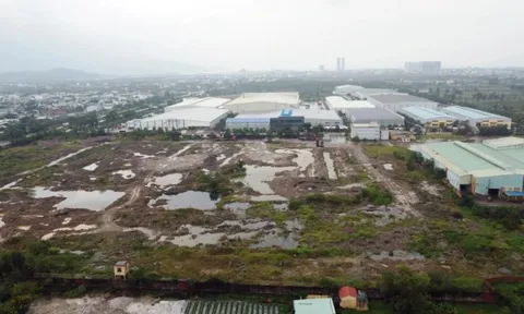 Nhiều doanh nghiệp xây dựng không phép trong cụm công nghiệp ở Đà Nẵng