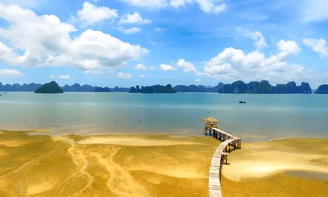 Đặc khu mới phía Bắc sắp khánh thành, khởi công loạt dự án hơn 2.300 tỷ đồng