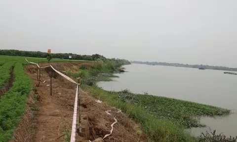 Vụ xử lý sự cố sạt lở kè Nguyên Hòa, đê tả sông Luộc: Khởi tố thêm 4 bị can