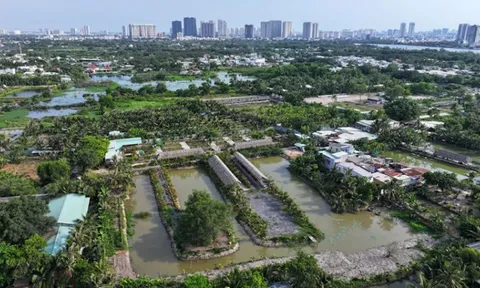 Luật Quy hoạch 2025: 3 LỢI ÍCH LỚN DÂN CẦN BIẾT khi chuyển đổi đất nông nghiệp