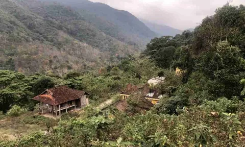 Thanh Hóa “bật đèn xanh” chuyển gần 15 ha rừng để mở rộng một cụm công nghiệp