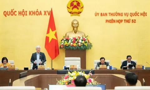 Các Nghị quyết của Quốc hội và Ủy ban Thường vụ Quốc hội khóa XV