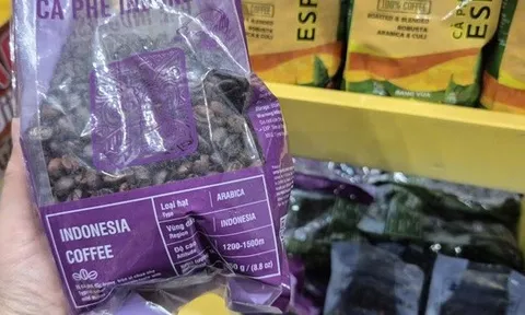 Giá cà phê hôm nay 29-12: Vì sao Việt Nam chi hơn nửa tỉ USD nhập cà phê?