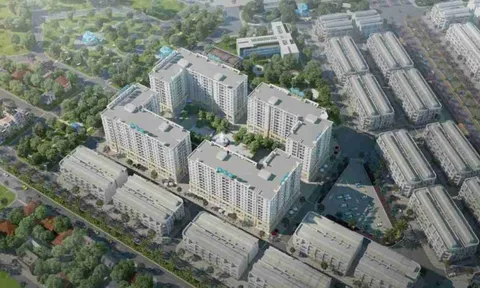 FLC chuẩn bị tung ra thị trường gần 760 căn nhà ở xã hội, giá dự kiến 19 triệu đồng/m2