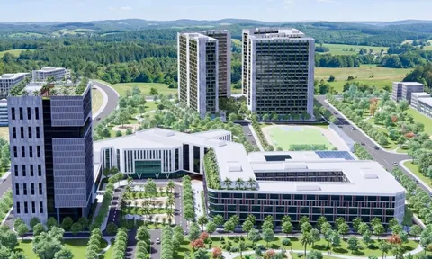 Thành lập Trường Đại học Tâm Anh đào tạo nhân lực chuẩn quốc tế