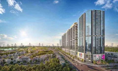 Sunshine Sky Villa nhận chuyển nhượng cổ phần, sở hữu 99% Bất động sản Wonderland