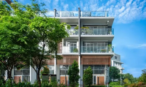 Tổ ấm 5 tầng – không gian sống linh hoạt giữa lòng đô thị xanh Celadon City