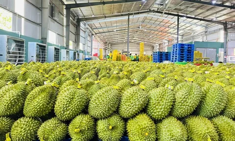 Nhìn lại một năm vươn xa của nông sản Việt