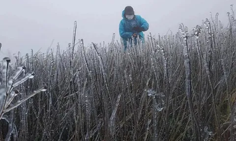 Dự báo thời tiết 2/1: Miền Bắc đón không khí lạnh rất mạnh, dự báo nơi rét đậm nhất