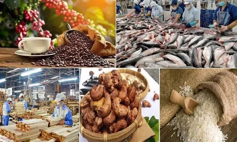 Xuất khẩu nông, lâm, thủy sản năm 2025 đạt 70,09 tỷ USD, mức cao nhất từ trước tới nay