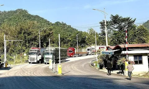 Cửa khẩu "mở hàng" thông quan rộn ràng dịp đầu năm