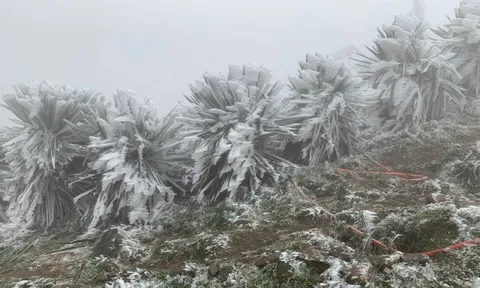 Miền Bắc trời chuyển rét, vùng núi rét đậm, rét hại