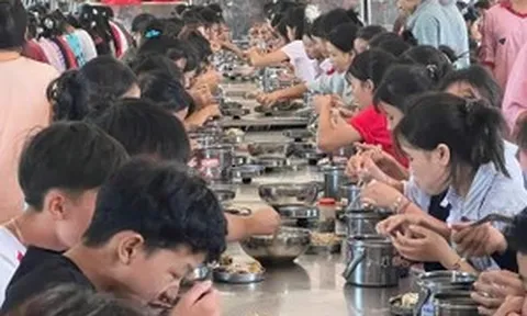Ẩn số trong bữa ăn nội trú ở Mường Nhé: Khi niềm tin thay thế cơ chế giám sát?