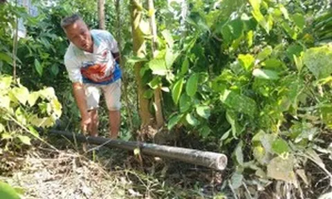 Phú Thọ: Xử lý, buộc di dời xưởng sản xuất giấy không phép