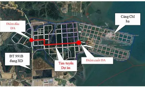 TPHCM: Khẩn trương xây dựng hệ số điều chỉnh bảng giá đất