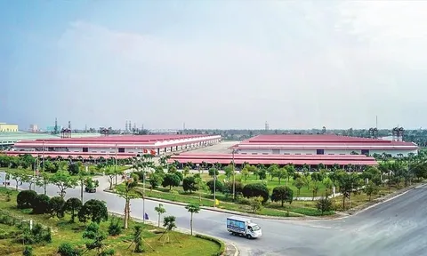 Tập đoàn VSIP nghiên cứu đầu tư dự án khu công nghiệp tại Đà Nẵng