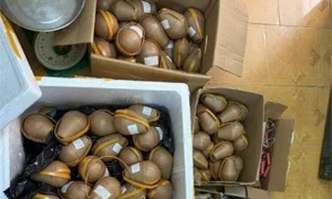 Chế tạo gần 30kg pháo hoa nổ tại nhà riêng, nam thanh niên bị khởi tố