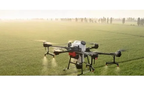 Ban hành Danh mục thuốc bảo vệ thực vật được phép và cấm sử dụng tại Việt Nam