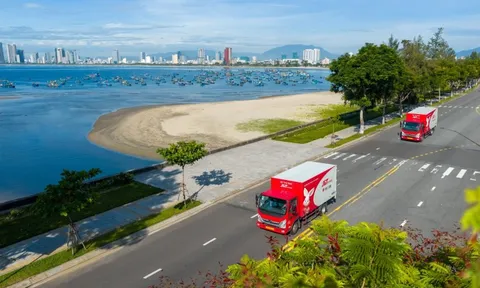 Hành trình thầm lặng phía sau mỗi tổ yến