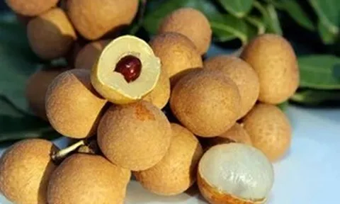 'Tri thức trồng và chế biến nhãn lồng Hưng Yên' vào Danh mục di sản văn hóa phi vật thể quốc gia