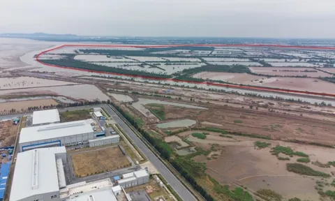 Một doanh nghiệp được giao gần 3 ha đất trong KKT Đình Vũ - Cát Hải để làm dự án gần 70.000 tỷ