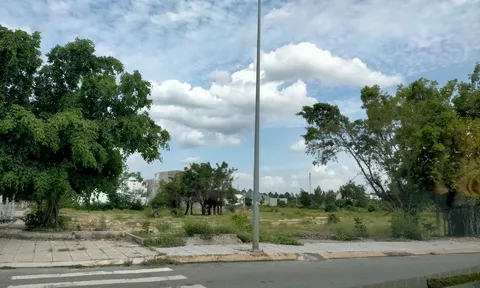 Đánh mất tình thân bởi vì tranh chấp đất đai