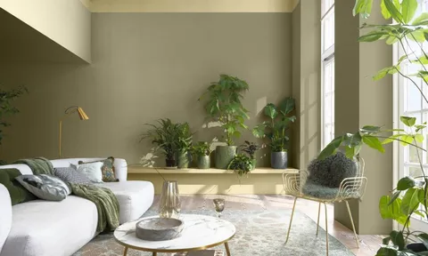 Thổi sắc Xuân bằng những cảm hứng màu sắc