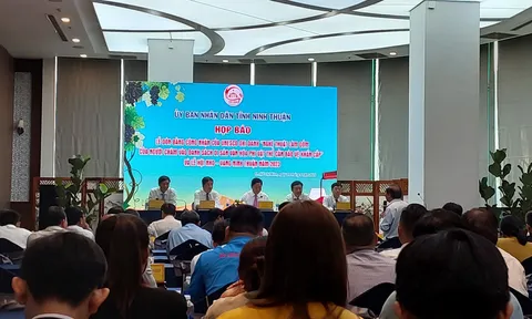 Nhiều hoạt động đặc sắc và hấp dẫn tại Lễ hội Nho và Vang Ninh Thuận năm 2023