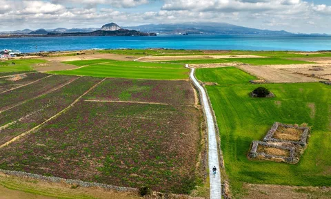 Triển lãm di sản thiên nhiên thế giới đảo Jeju Hàn Quốc tại bảo tàng tỉnh Quảng Ninh