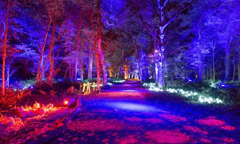 Cơ hội khám phá tuần lễ Nghệ thuật Singapore đặc sắc và các sự kiện ăn mừng Tết Nguyên Đán