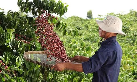 Nestlé công bố báo cáo tiến độ Chương trình NESCAFÉ Plan 2030