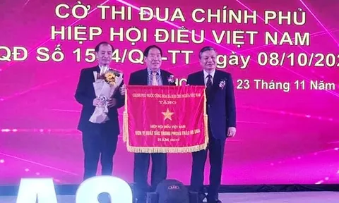 Xuất khẩu điều thu về hơn 31 tỷ USD