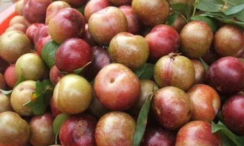 5 phút để có hộp mận dầm chua ngọt cực ngon cho bạn gái