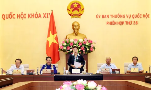 Kiểm toán nhà nước có quyền truy cập dữ liệu của doanh nghiệp?