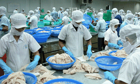 Niềm vui kép cho thủy sản Việt